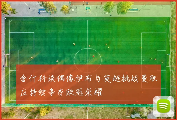 舍什科谈偶像伊布与英超挑战曼联应持续争夺欧冠荣耀