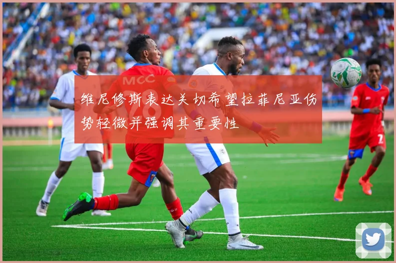 维尼修斯表达关切希望拉菲尼亚伤势轻微并强调其重要性